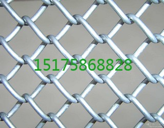 57831424854704.jpg